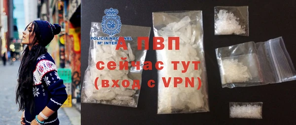 амф Вяземский