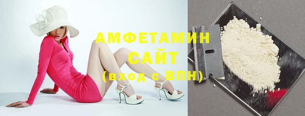 амф Вяземский