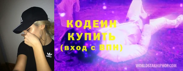 амф Вяземский