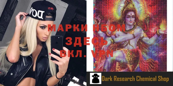 амф Гусь-Хрустальный