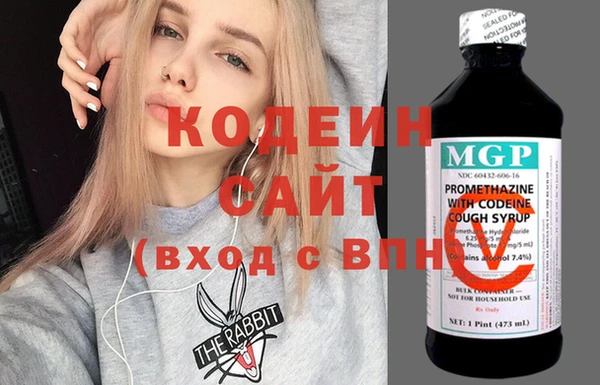 амф Вяземский
