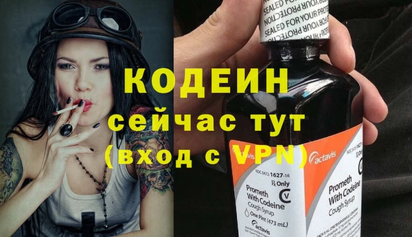 амф Вяземский