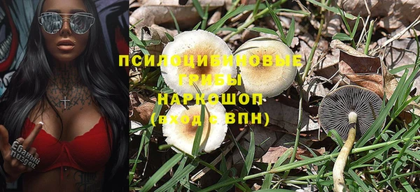 амф Вяземский