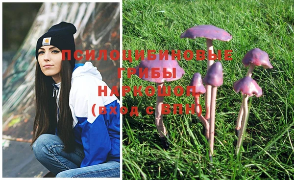 не бодяженный Вязьма