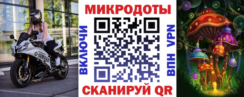 продажа наркотиков  Новопавловск  Галлюциногенные грибы GOLDEN TEACHER 