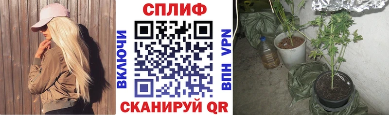 где купить наркоту  Новопавловск  МАРИХУАНА MAZAR 