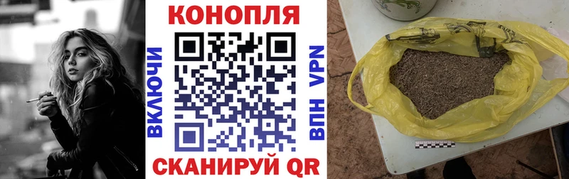 Конопля гибрид Новопавловск